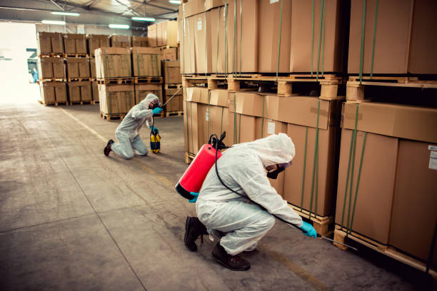 Best Termite Control Services  in Clarinda, IA