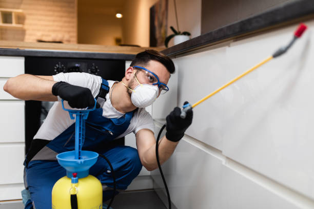 Best Exterminator Services  in Clarinda, IA