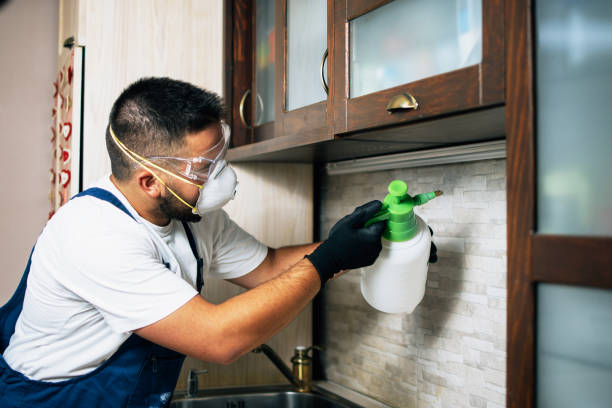 Best Pest Removal Services  in Clarinda, IA