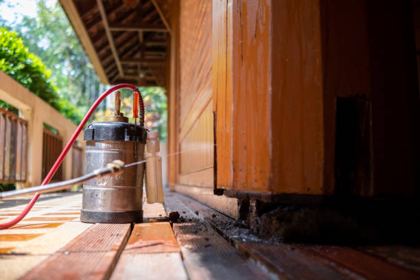 Best Local Pest Control Services  in Clarinda, IA