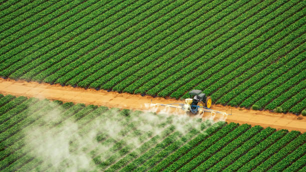 Clarinda, IA Pest Control Company