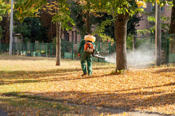 Pest Control for Restaurants in Clarinda, IA