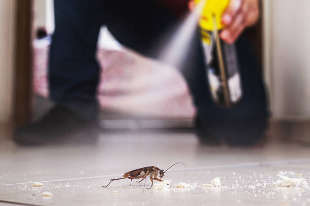 Best Pest Prevention Services  in Clarinda, IA
