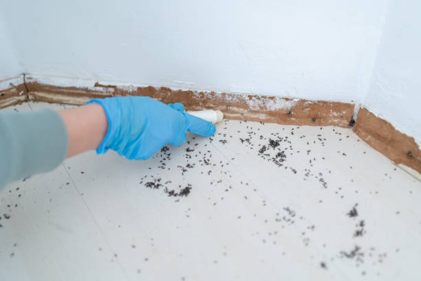 Best Best Pest Control Companies  in Clarinda, IA