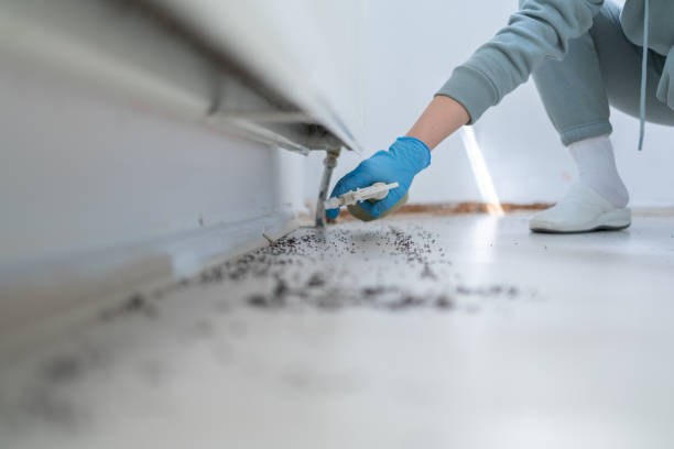 Best Commercial Pest Control Services  in Clarinda, IA